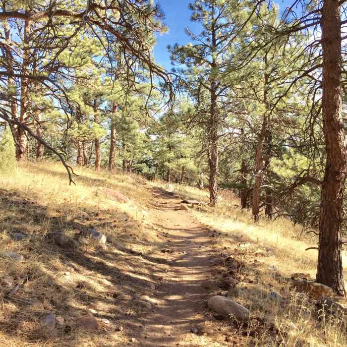 Near Flatirons Vista South