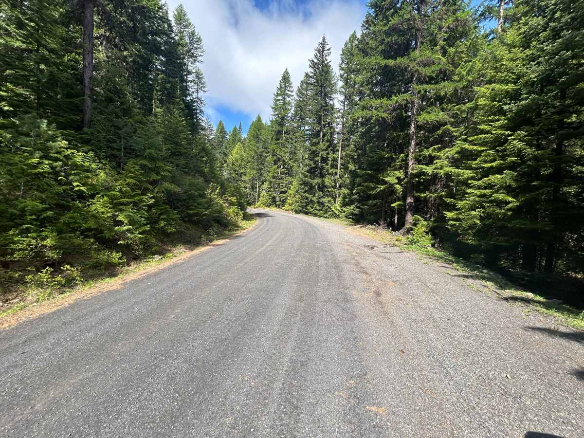 North Fork Little Naches - FS 1906 photo 6