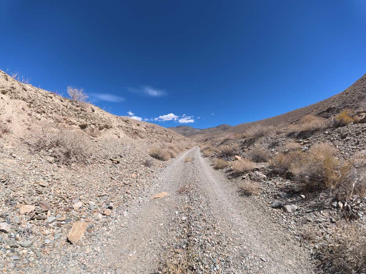North McNully Canal Road trail photo