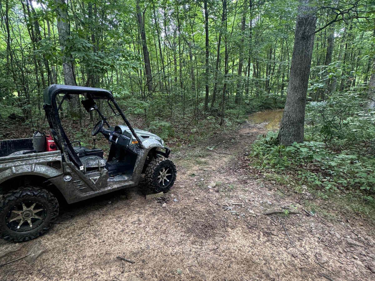 Trail 62 trail photo