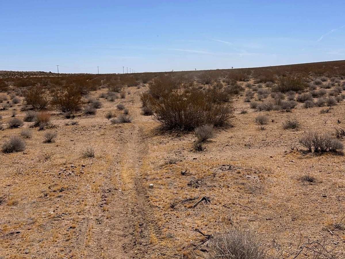 Burro Flats trail photo