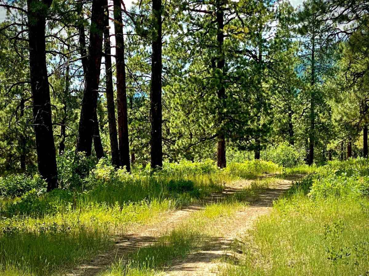 Fawn Gulch E-Fr Rd 666E photo 4