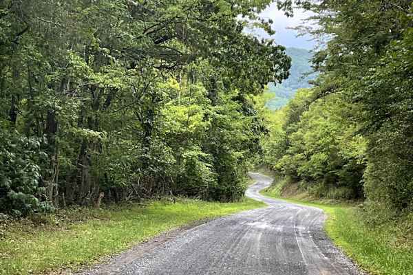 Hayslette Road
