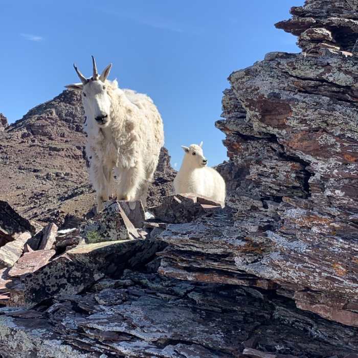 Near Pyramid Peak Trail