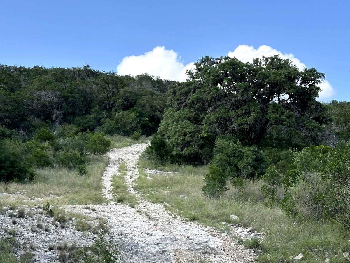 North Pasture Trail photo 4