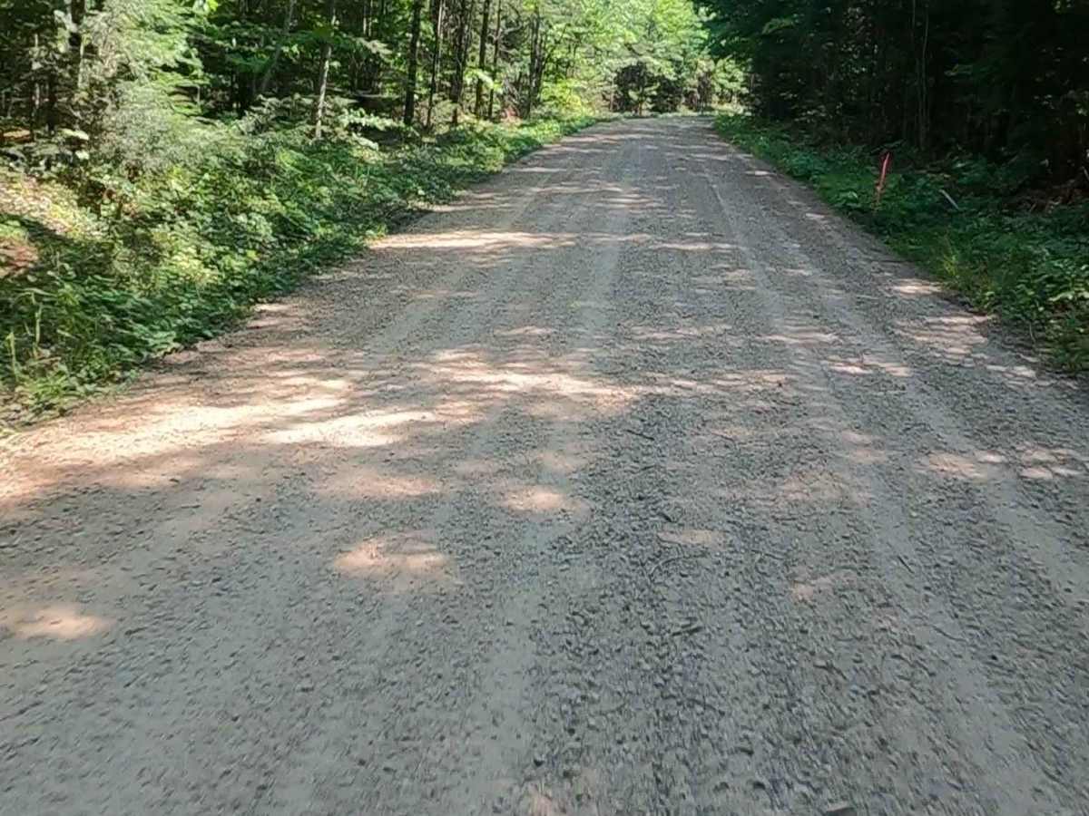 Buck Bay Road - FSR 2272 photo 2