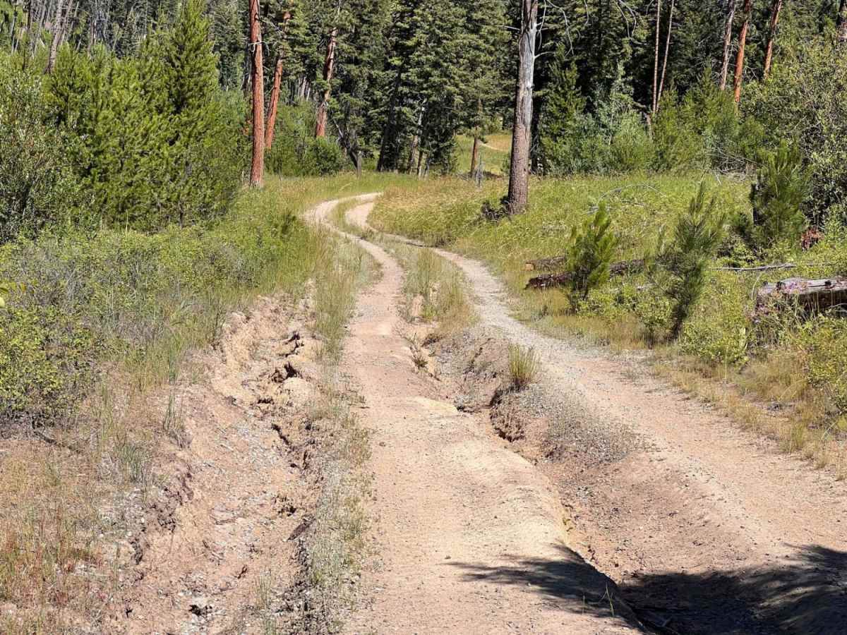 Riemel Trail/ Hiking Trailhead photo 6