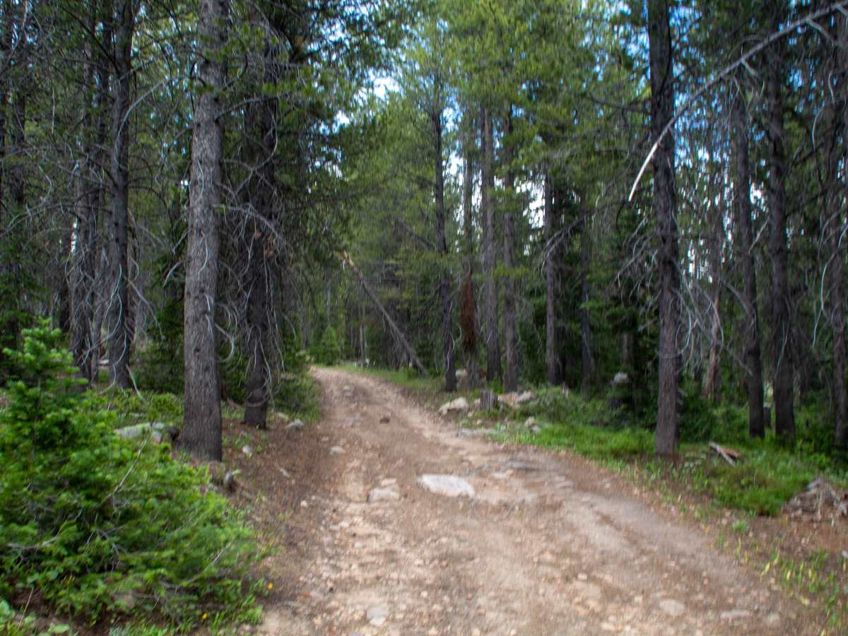 Spring Canyon 2 - FS 80944 photo 6