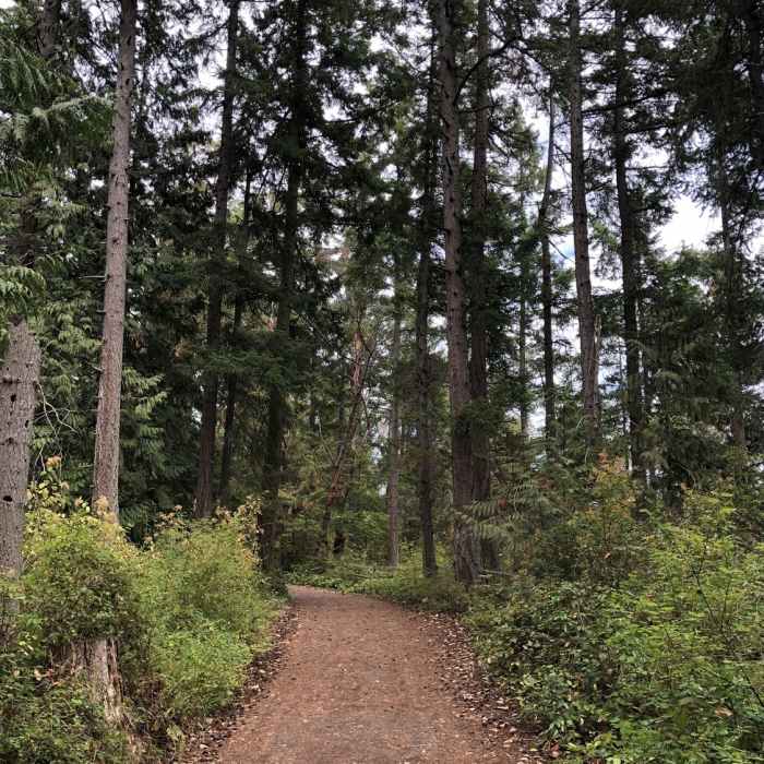 Near Barnum Point Preserve Loop Trail