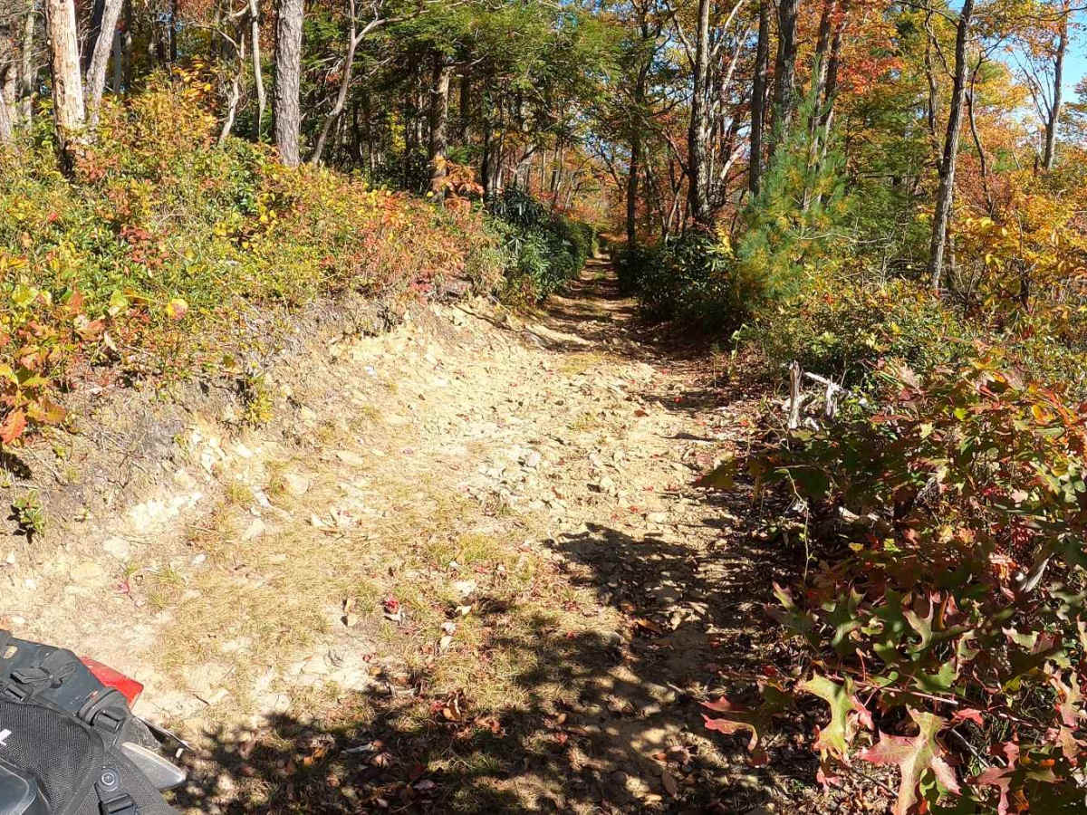 Round Knob Road - FS88 photo 5
