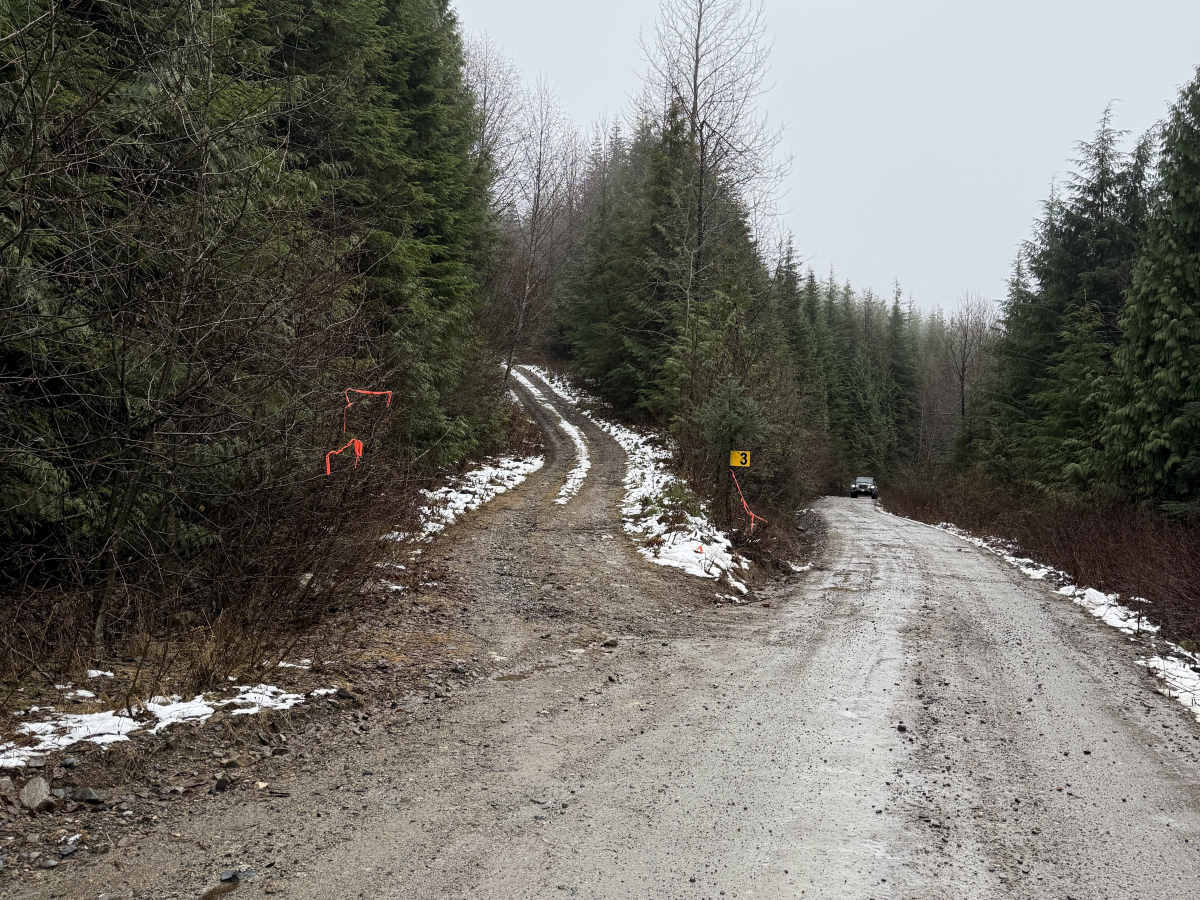 Williams Creek Trail photo 2