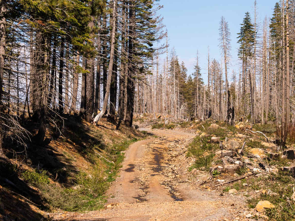 Humbug Summit Road 31 photo 5