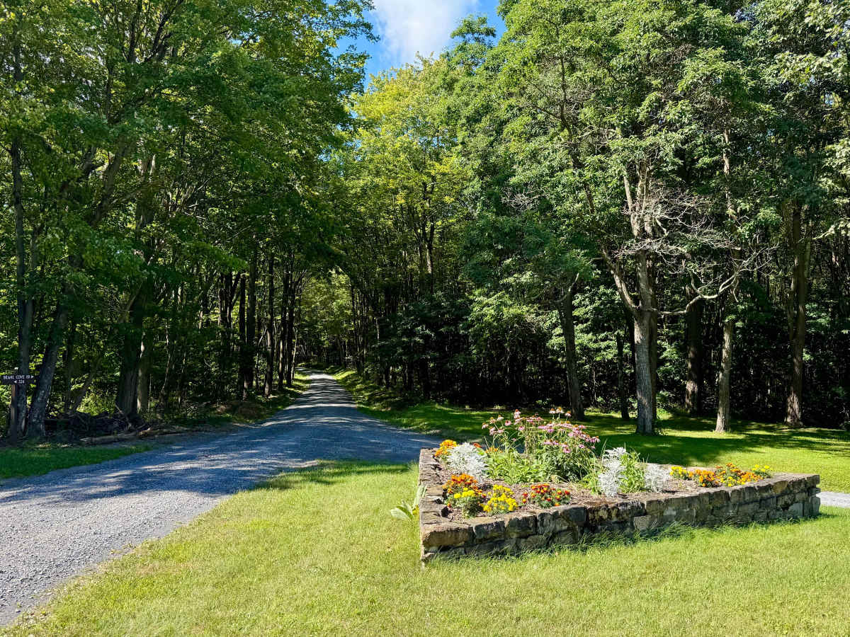 Martin Hill Road photo 2