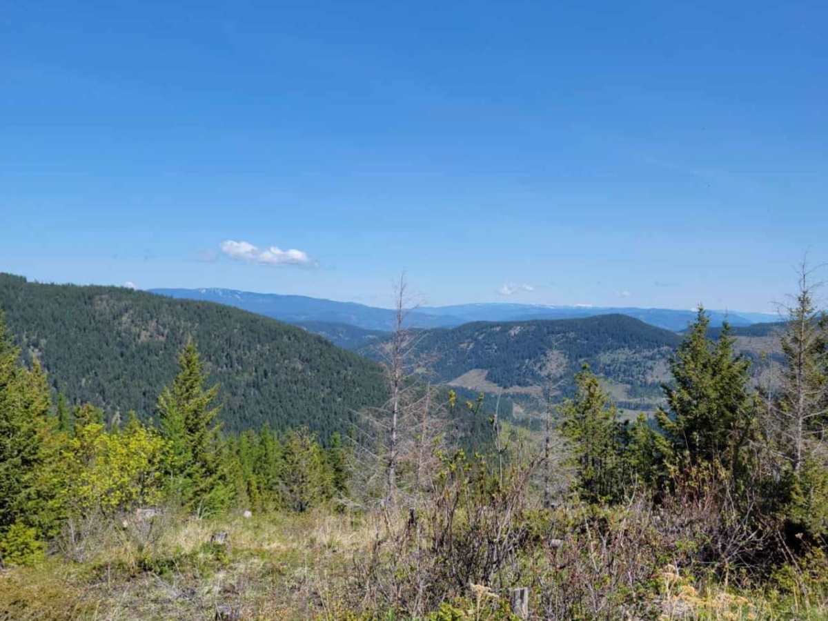 Harris Creek to Summit photo 5
