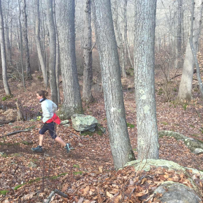 Near Saugatuck Trail