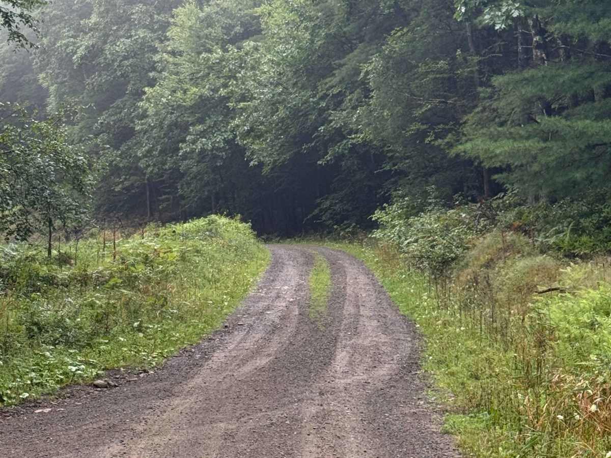Sand Spring Road photo 3