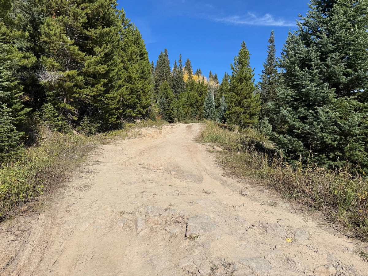 Smith Creek Road photo 6