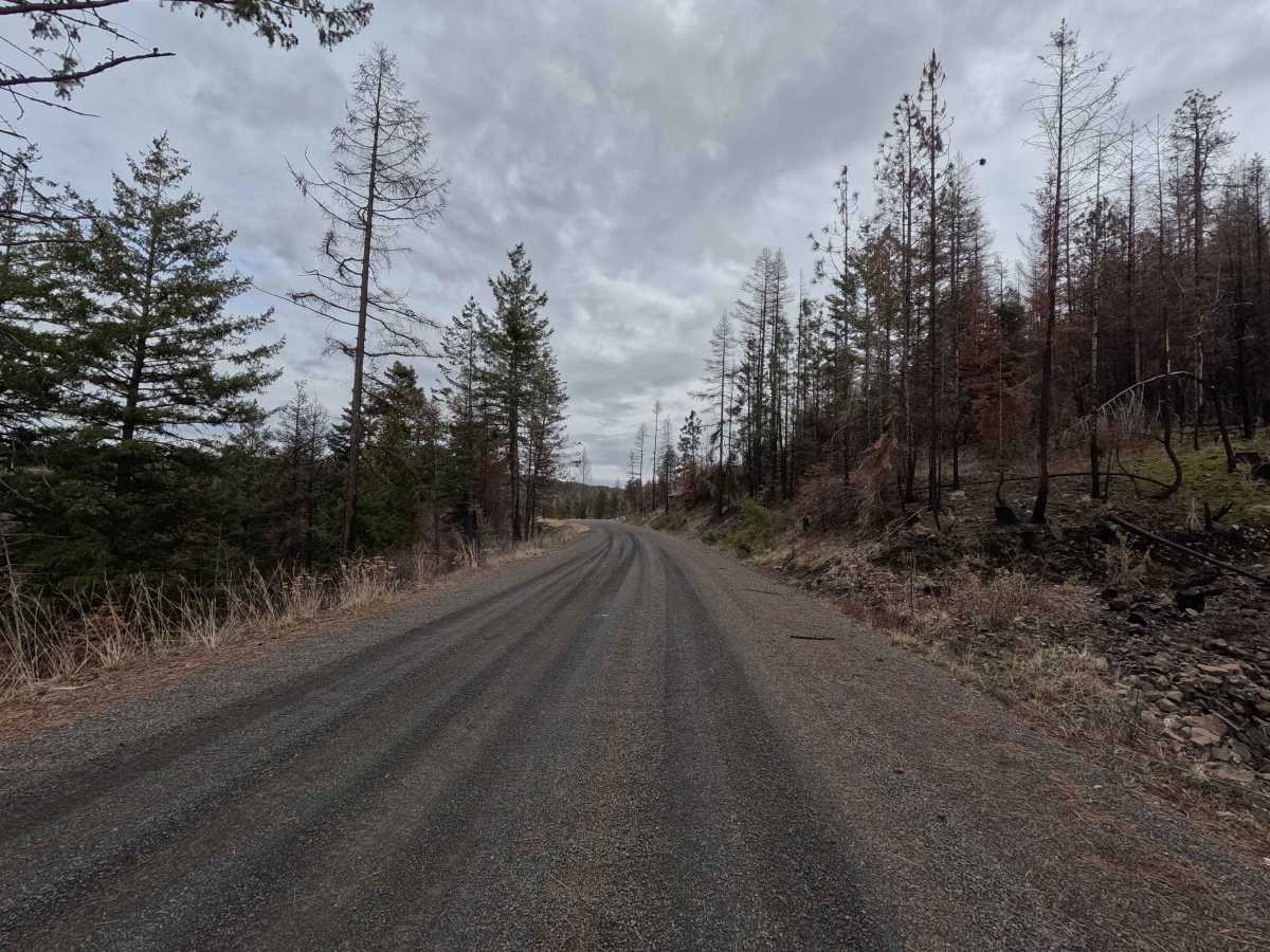 The Old Western Route - FS 21 photo 2