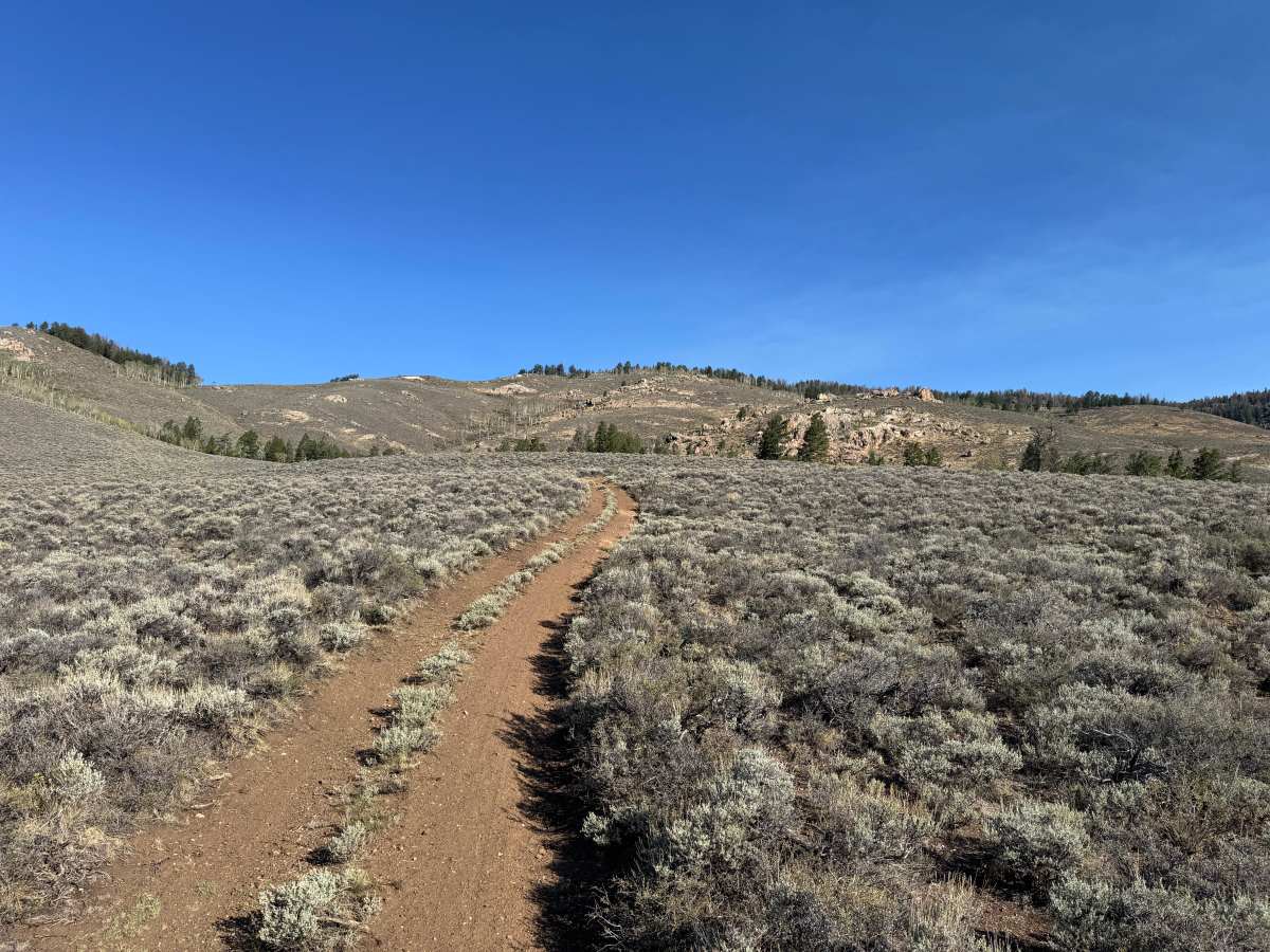 BLM 3102B photo 2