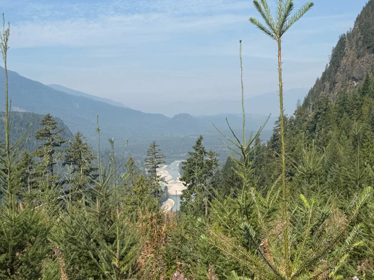 Illabot Powerline Ridge Road photo 3