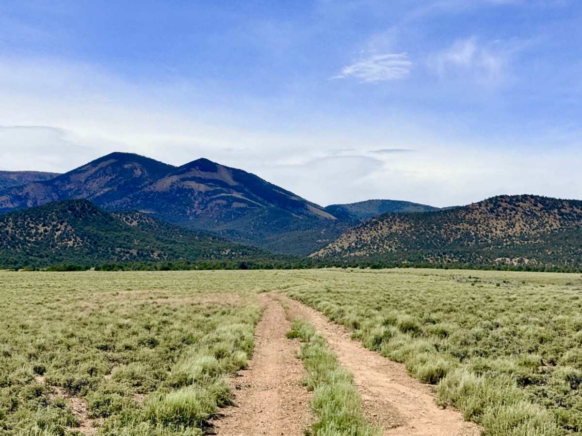 South Sawmill Creek “Loop” - FS 44424 trail photo