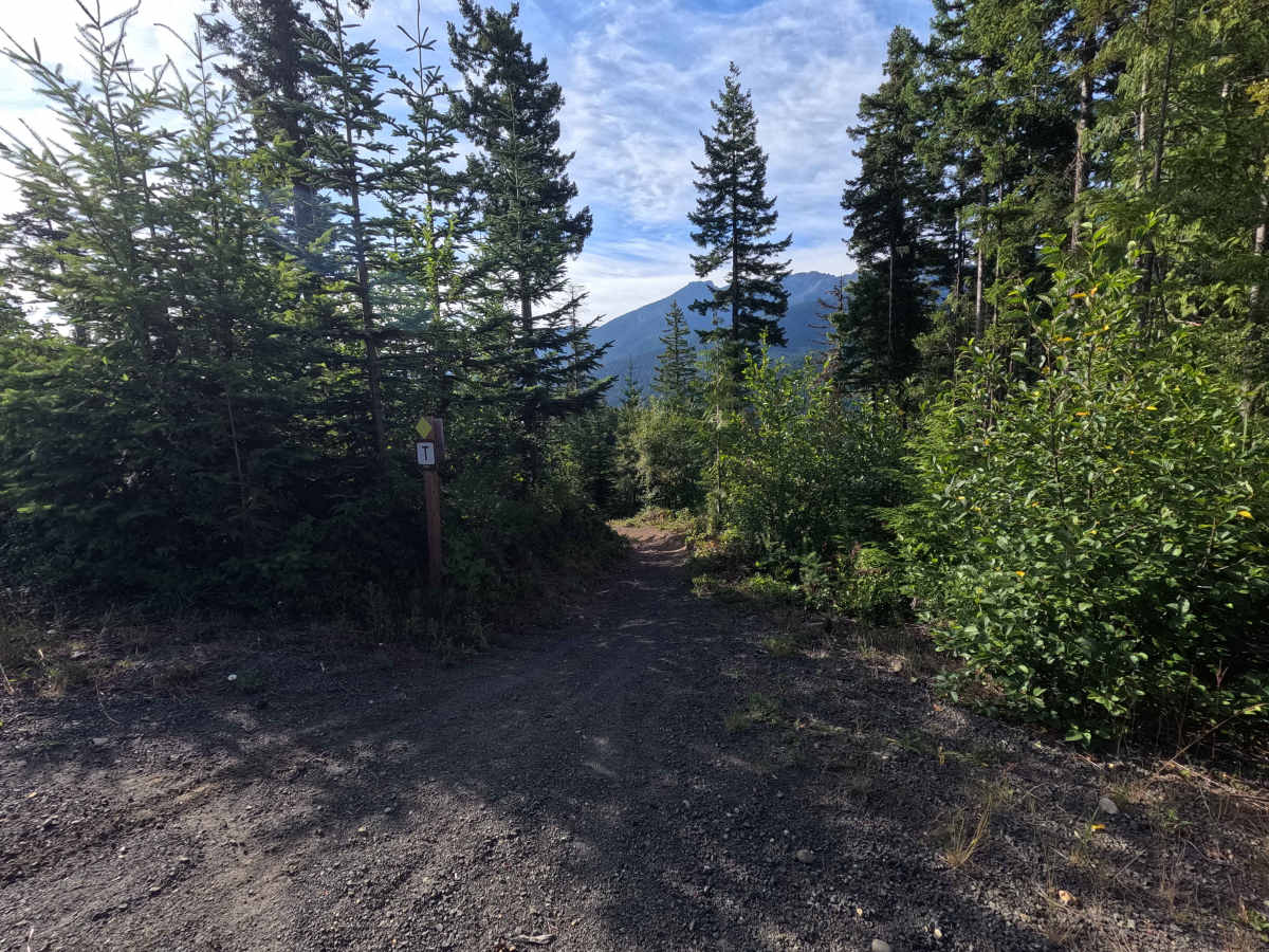 East Bench trail photo