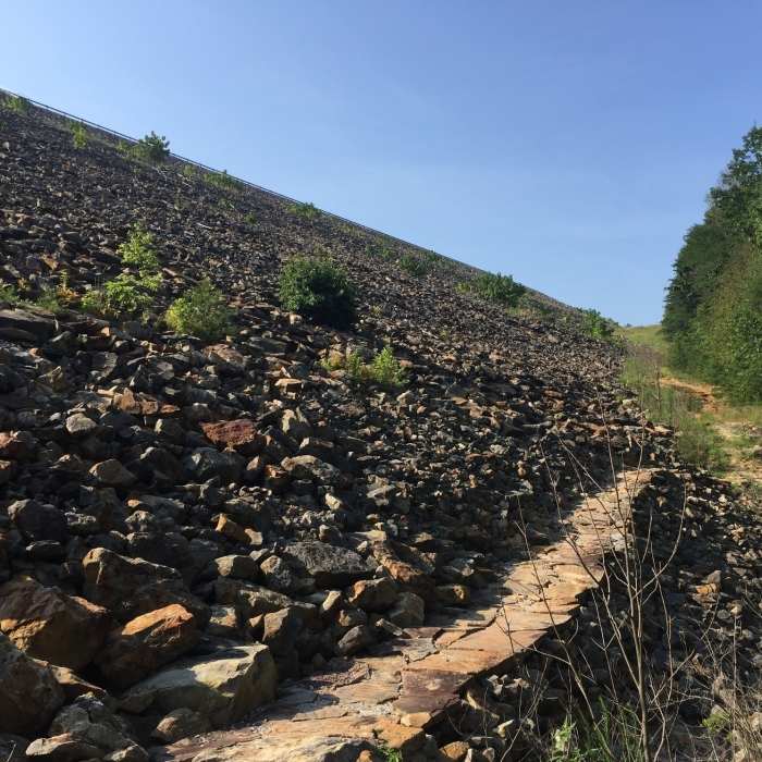 Near River Gorge Trail