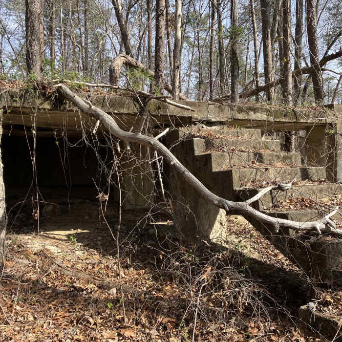 Near Pinhoti Trail: Section 10