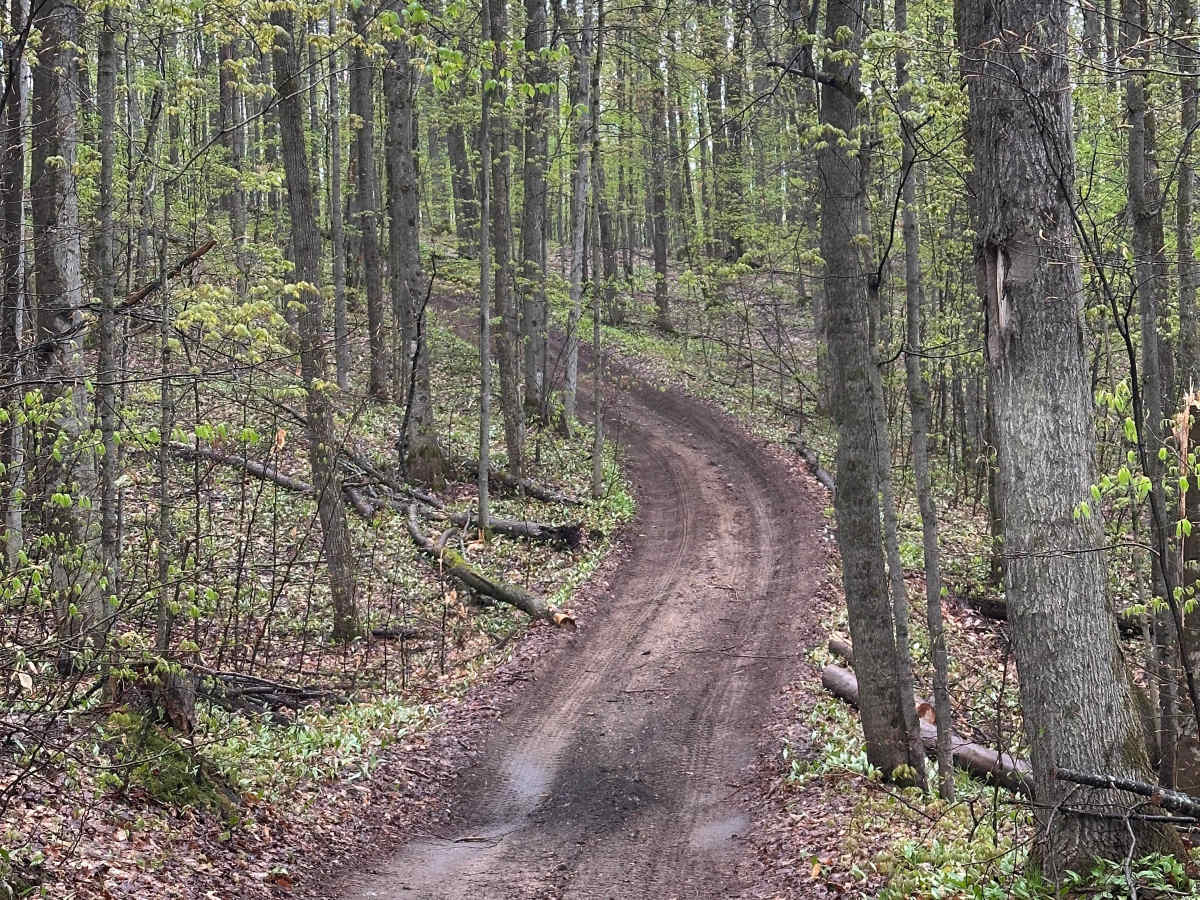 14634 trail photo