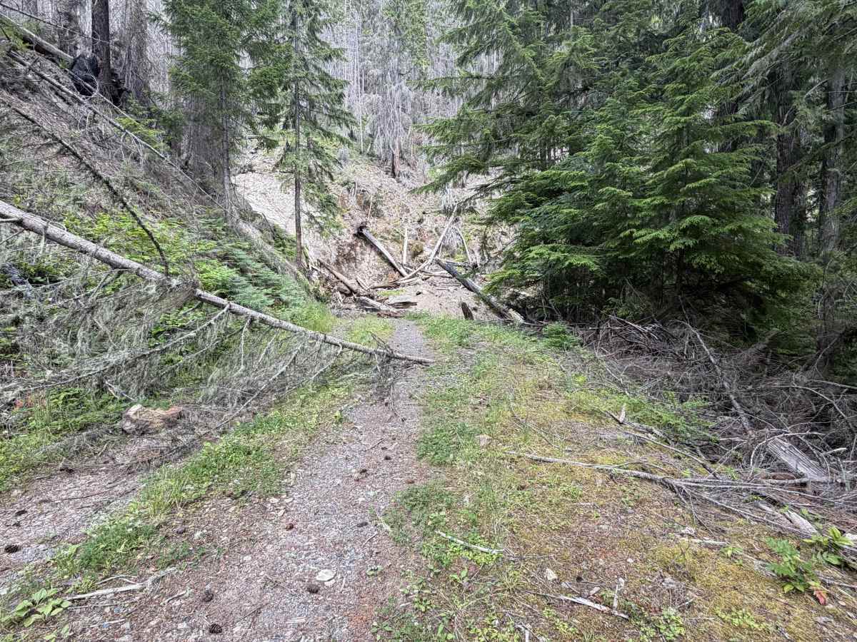 Last - FS 1266041 trail photo