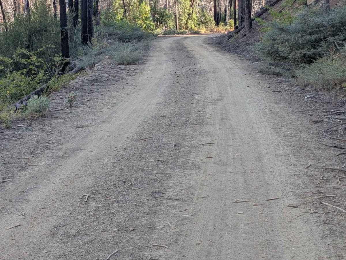 South Fork Goods Creek Road - FS 29N27 photo 6