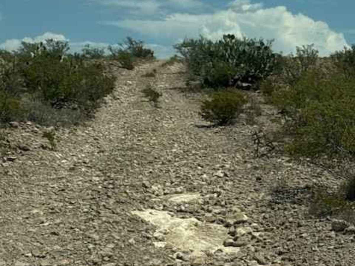 BLM SS1043 photo 5
