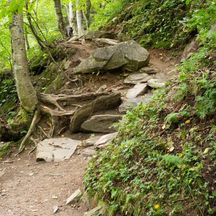 Near Sterling Pond Near Sterling Pond