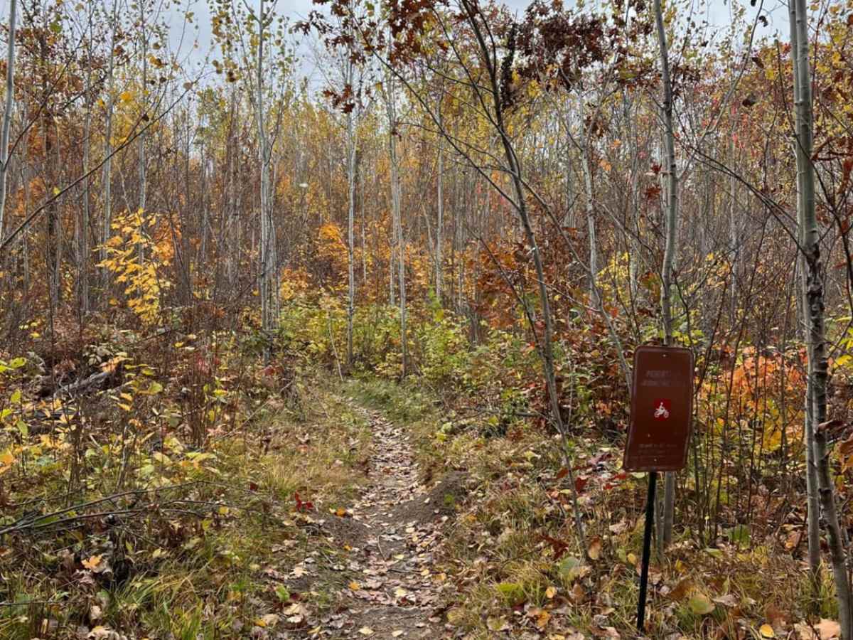 Paul Bunyan North Loop Saga photo 4