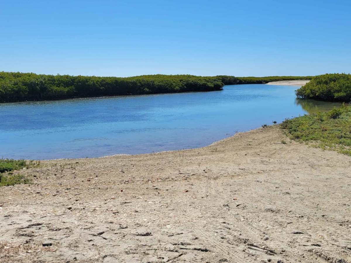 Laguna San Ignacio photo 5