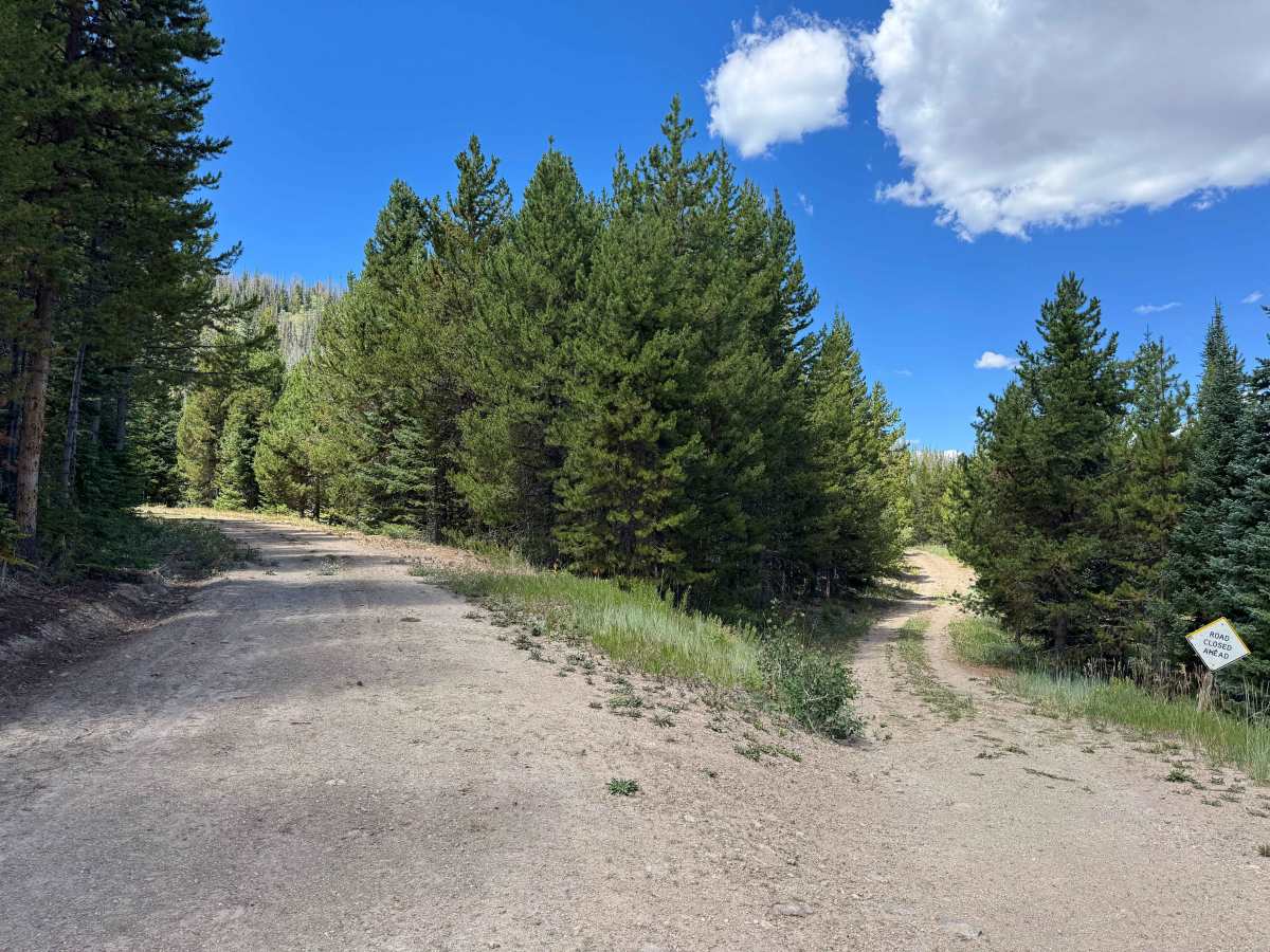 Hump Road photo 5