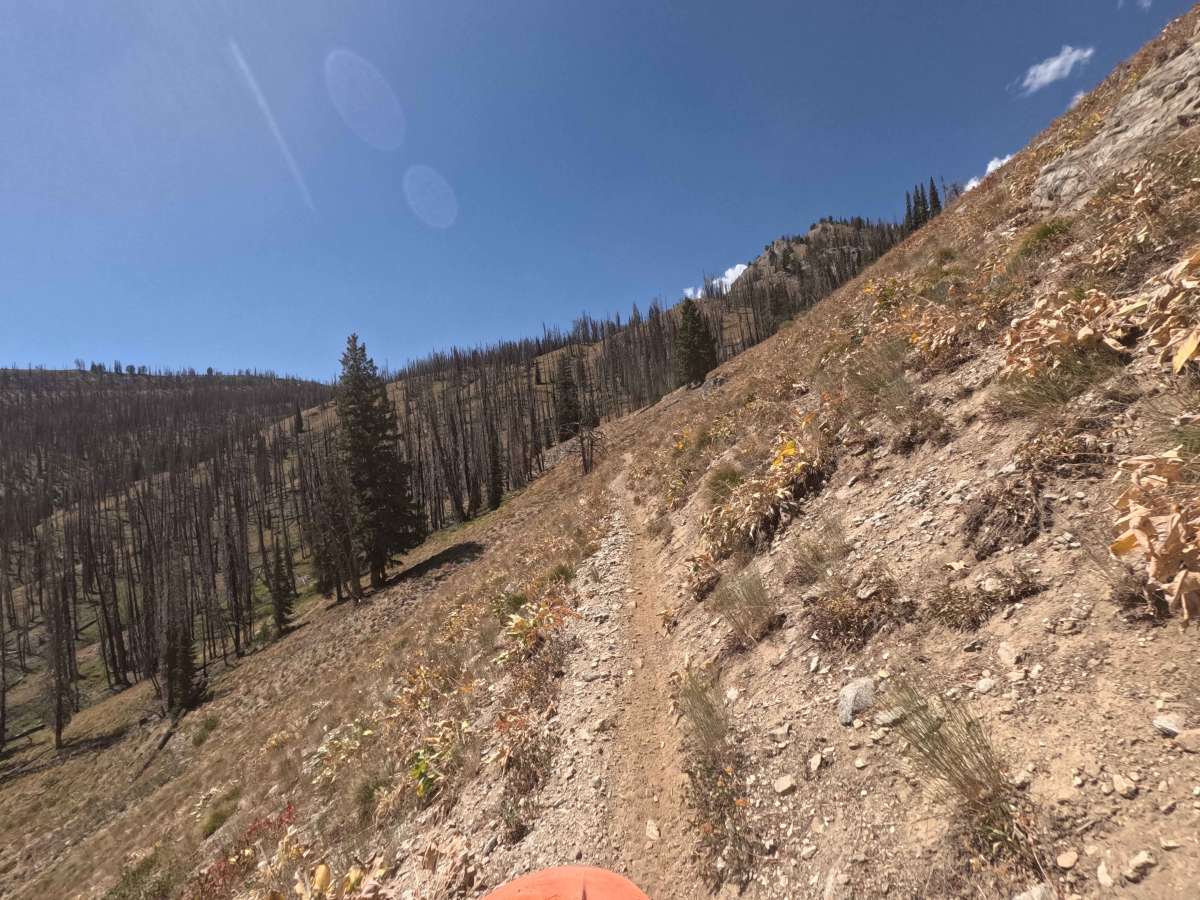 Johnson Creek - FS 7181 trail photo