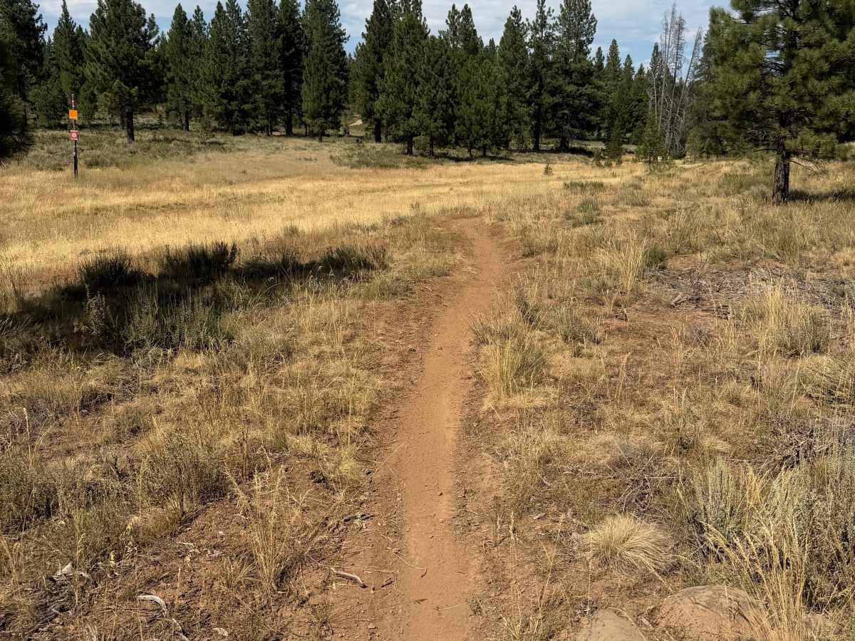 #22 trail photo