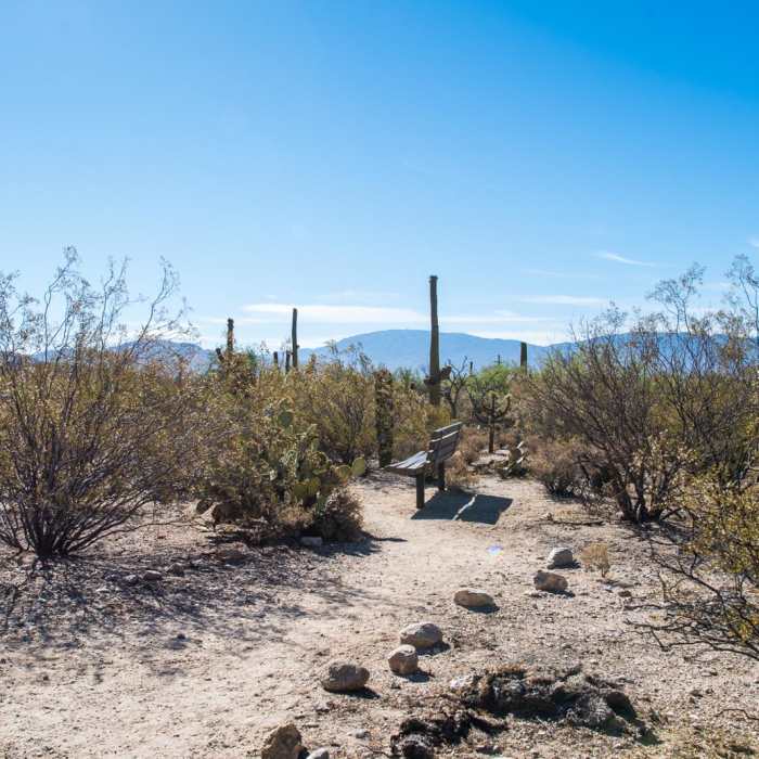 Near Bajada Nature Trail