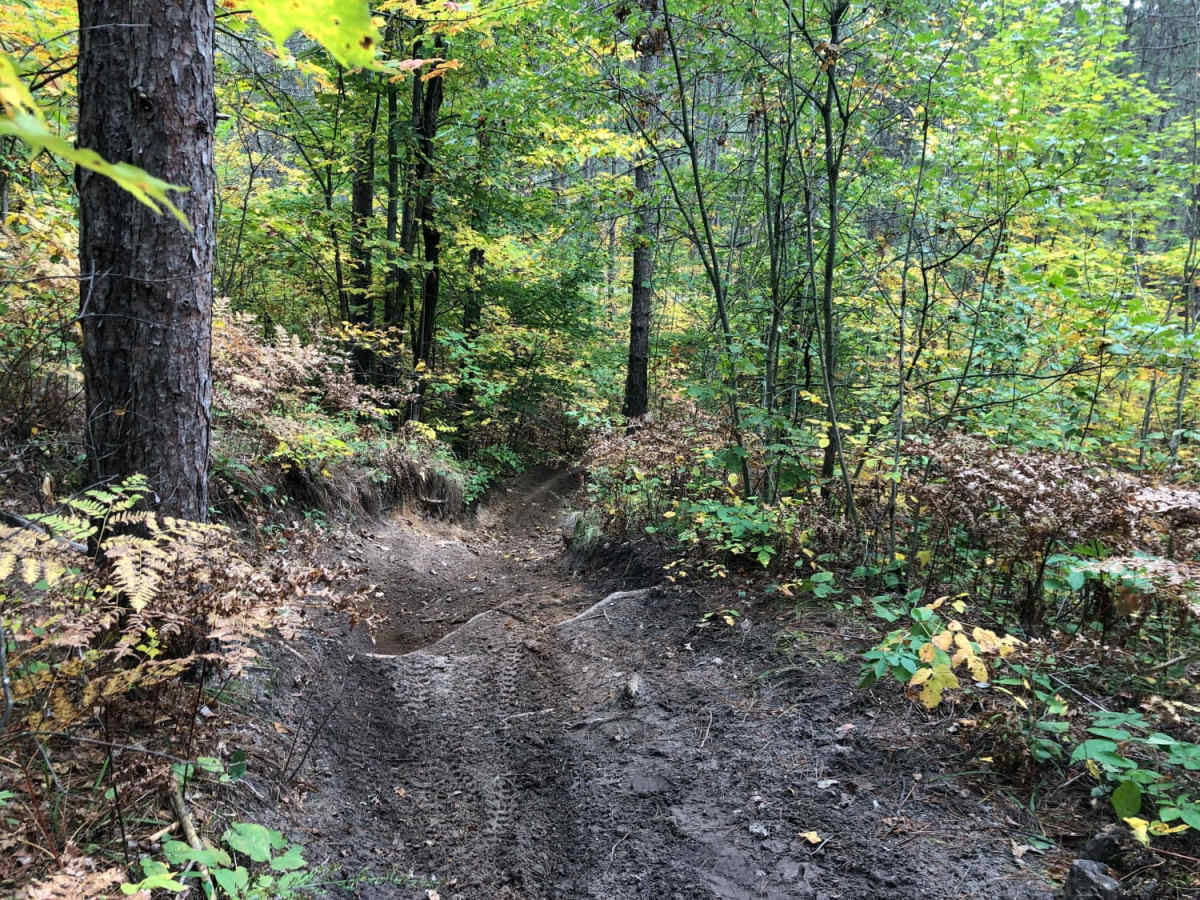 Crapo Creek Trail photo 4