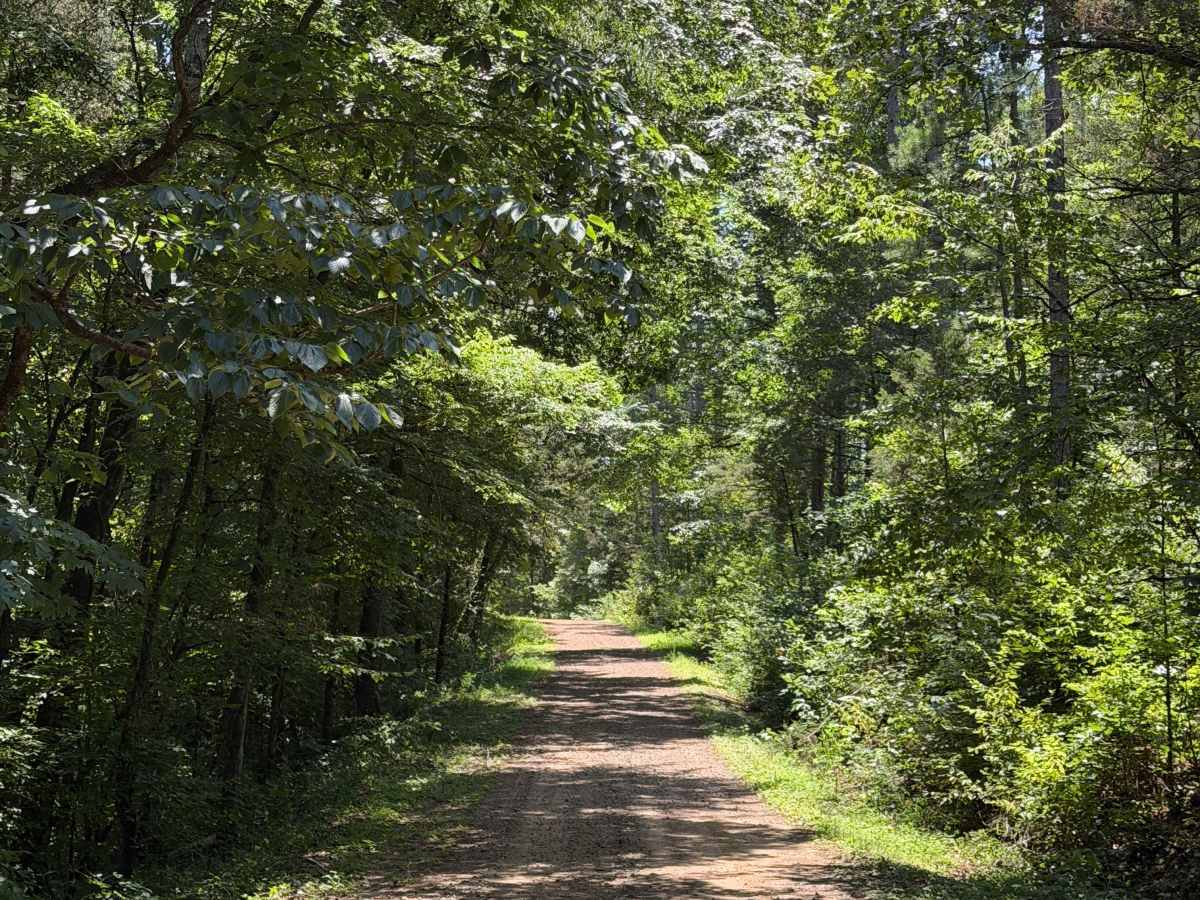 West Fork Scenic Drive photo 4