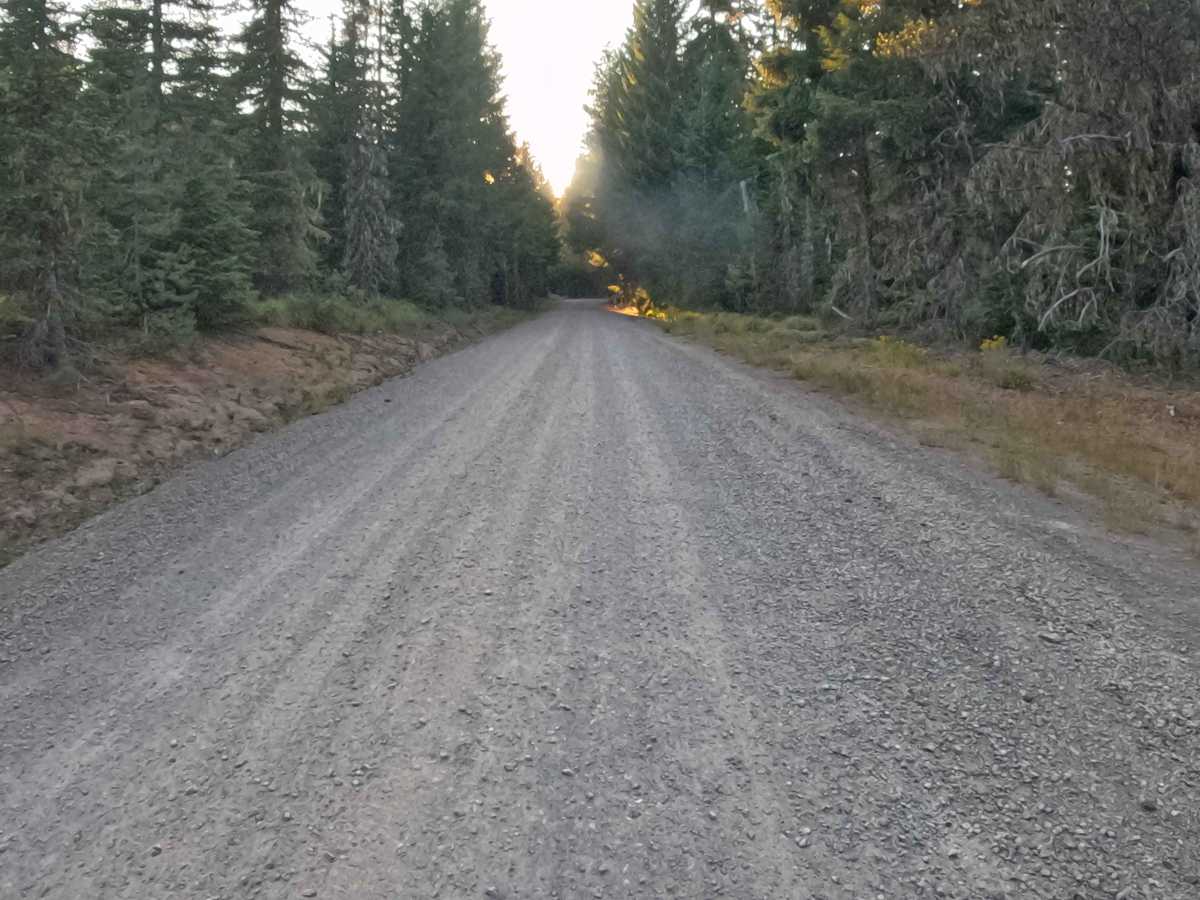 Parks Creek Road - FS 2067560  photo 4