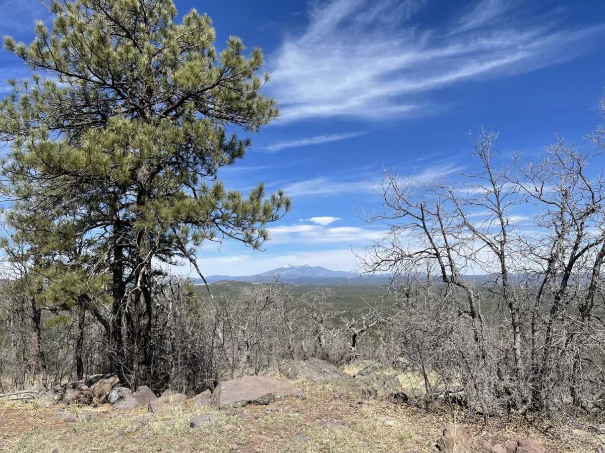 Round Mountain Lookout photo 3