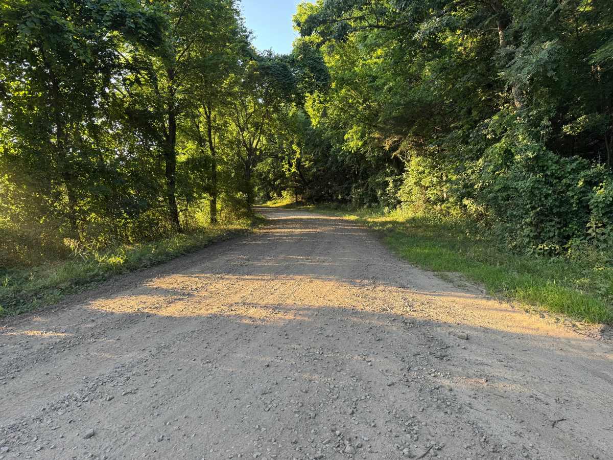 County Road 4320 photo 5