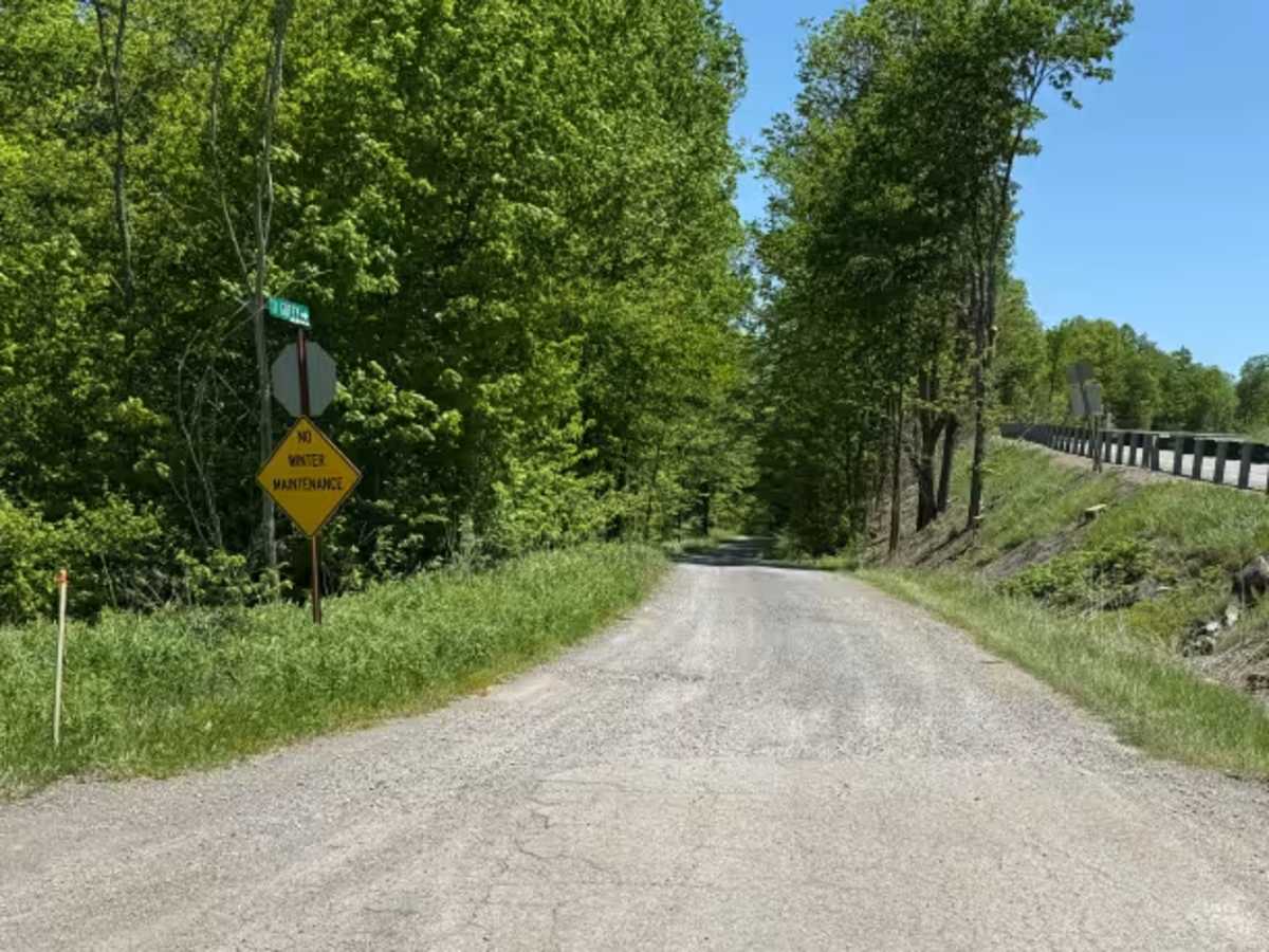 Guffey - FS 315 trail photo
