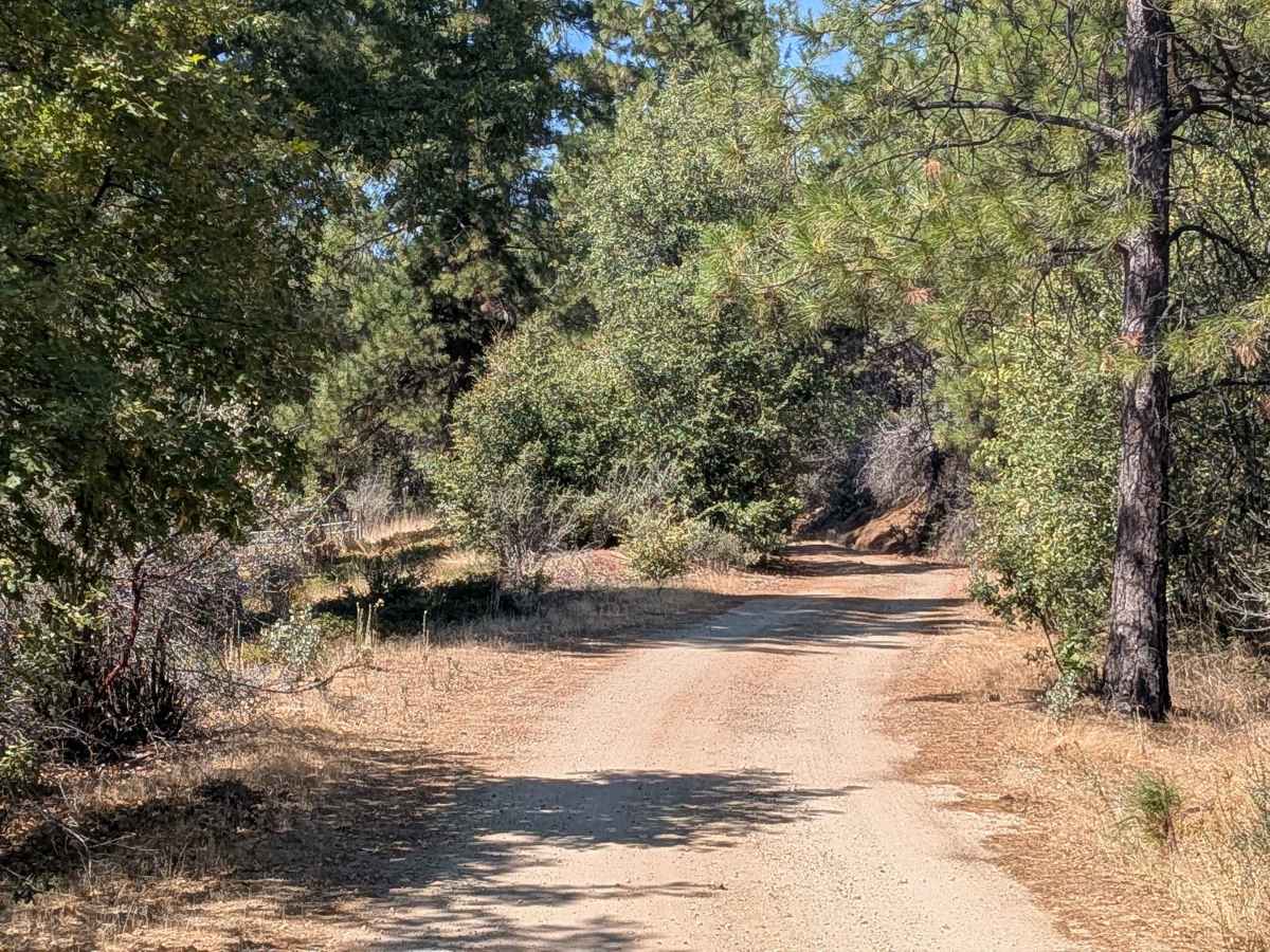 FS 2S27 trail photo
