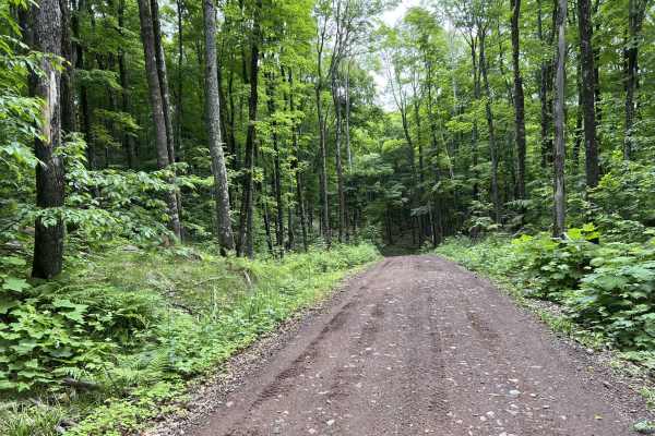 Trail P - FDR502