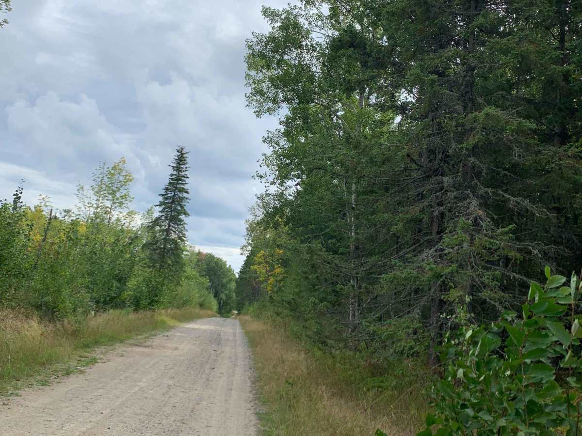 Samuelson Trail photo 2