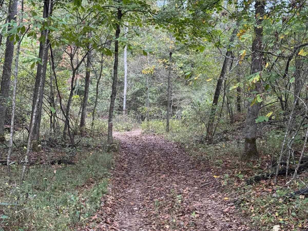 Ranger Smith photo 6