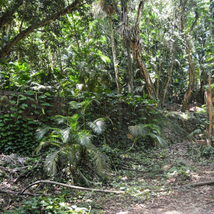 Near Kamananui Valley Road Near Kamananui Valley Road